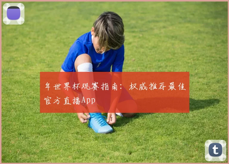 年世界杯观赛指南：权威推荐最佳官方直播App