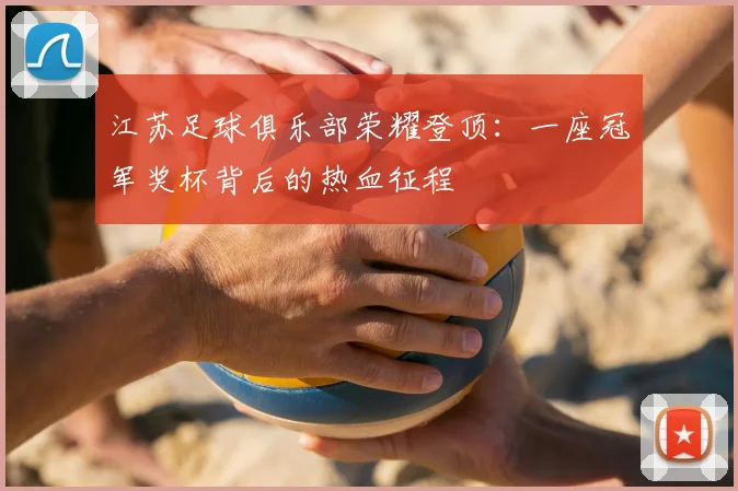 江苏足球俱乐部荣耀登顶：一座冠军奖杯背后的热血征程