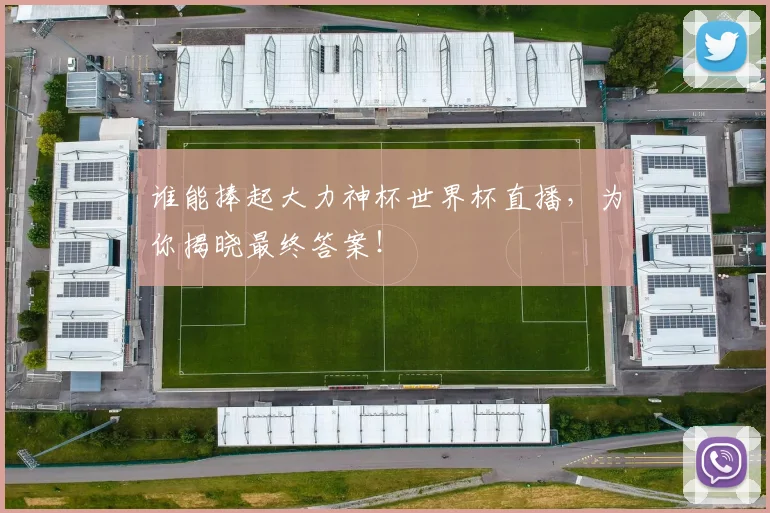 谁能捧起大力神杯世界杯直播，为你揭晓最终答案！