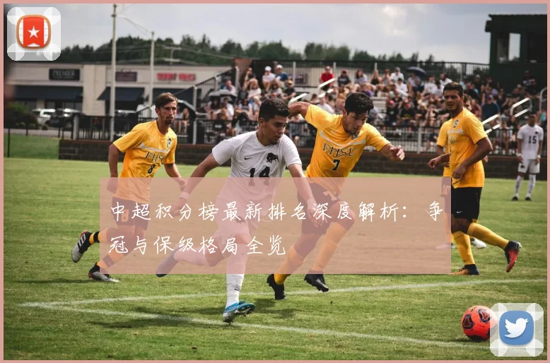 中超积分榜最新排名深度解析：争冠与保级格局全览