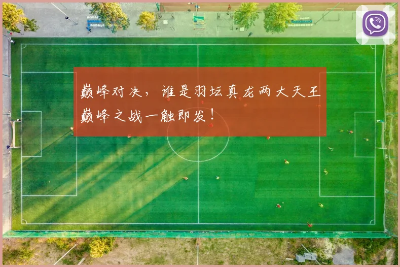 巅峰对决，谁是羽坛真龙两大天王巅峰之战一触即发！