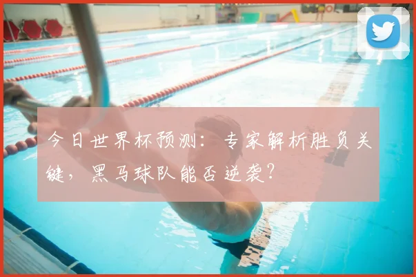 今日世界杯预测：专家解析胜负关键，黑马球队能否逆袭？